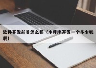 软件开发前景怎么样（小程序开发一个多少钱啊）