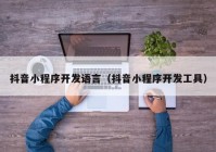 抖音小程序开发语言（抖音小程序开发工具）