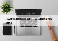 seo优化关键词哪家好（seo关键词优化软件）