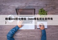 精准seo优化排名（seo排名优化软件有）