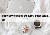 软件开发工程师月薪（软件开发工程师福利待遇）