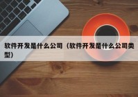 软件开发是什么公司（软件开发是什么公司类型）