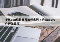 手机app软件开发编程实例（手机app软件开发教程）