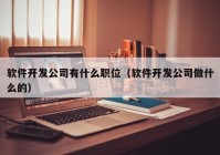 软件开发公司有什么职位（软件开发公司做什么的）