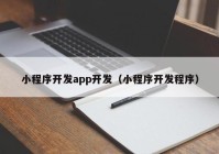 小程序开发app开发（小程序开发程序）