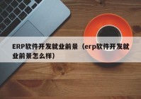 ERP软件开发就业前景（erp软件开发就业前景怎么样）