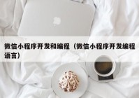 微信小程序开发和编程（微信小程序开发编程语言）