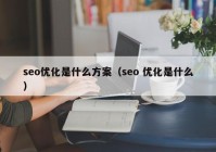 seo优化是什么方案（seo 优化是什么）