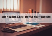 软件开发叫什么职位（软件开发叫什么职位啊）