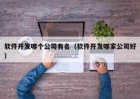 软件开发哪个公司有名（软件开发哪家公司好）