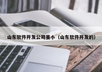 山东软件开发公司虽小（山东软件开发的）