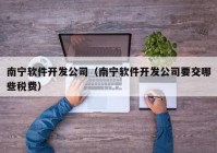 南宁软件开发公司（南宁软件开发公司要交哪些税费）