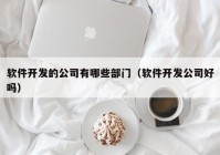 软件开发的公司有哪些部门（软件开发公司好吗）