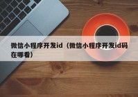 微信小程序开发id（微信小程序开发id码在哪看）