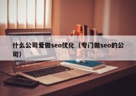 什么公司爱做seo优化（专门做seo的公司）