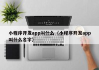 小程序开发app叫什么（小程序开发app叫什么名字）