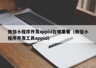 微信小程序开发appid在哪里看（微信小程序开发工具appid）