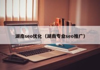 湖南seo优化（湖南专业seo推广）