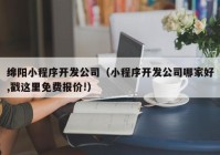 绵阳小程序开发公司（小程序开发公司哪家好,戳这里免费报价!）