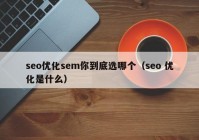 seo优化sem你到底选哪个（seo 优化是什么）