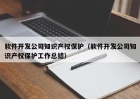 软件开发公司知识产权保护（软件开发公司知识产权保护工作总结）