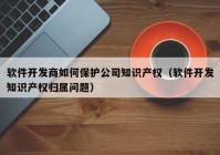 软件开发商如何保护公司知识产权（软件开发知识产权归属问题）