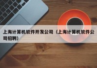 上海计算机软件开发公司（上海计算机软件公司招聘）